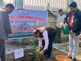 राष्ट्रीय ऊर्जा संरक्षण सप्ताह में प्रशासनिक भवन परिसर में पौधरोपण करते हुए कार्यपालक निदेशक एसके बंजारा।